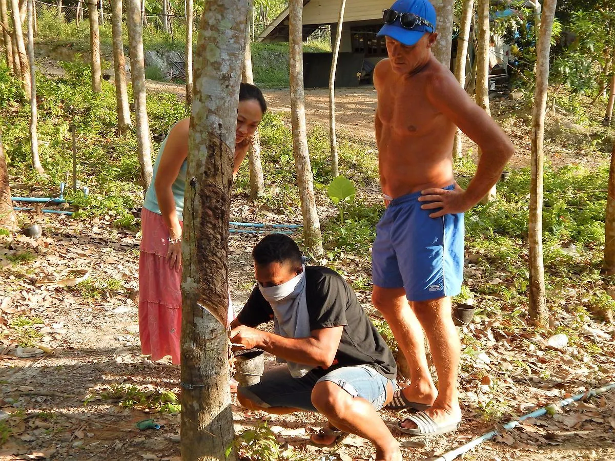 **  Rubber Tree Resort Ko Lanta Thailand
