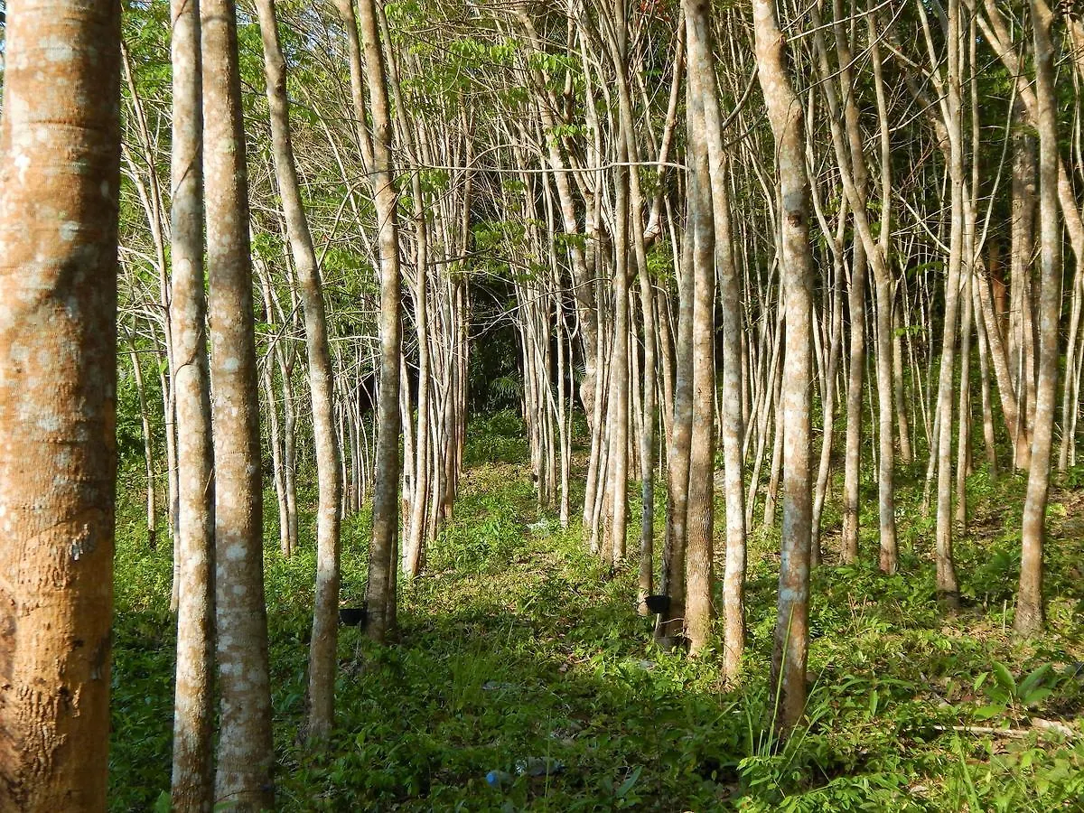 Rubber Tree Resort Ko Lanta